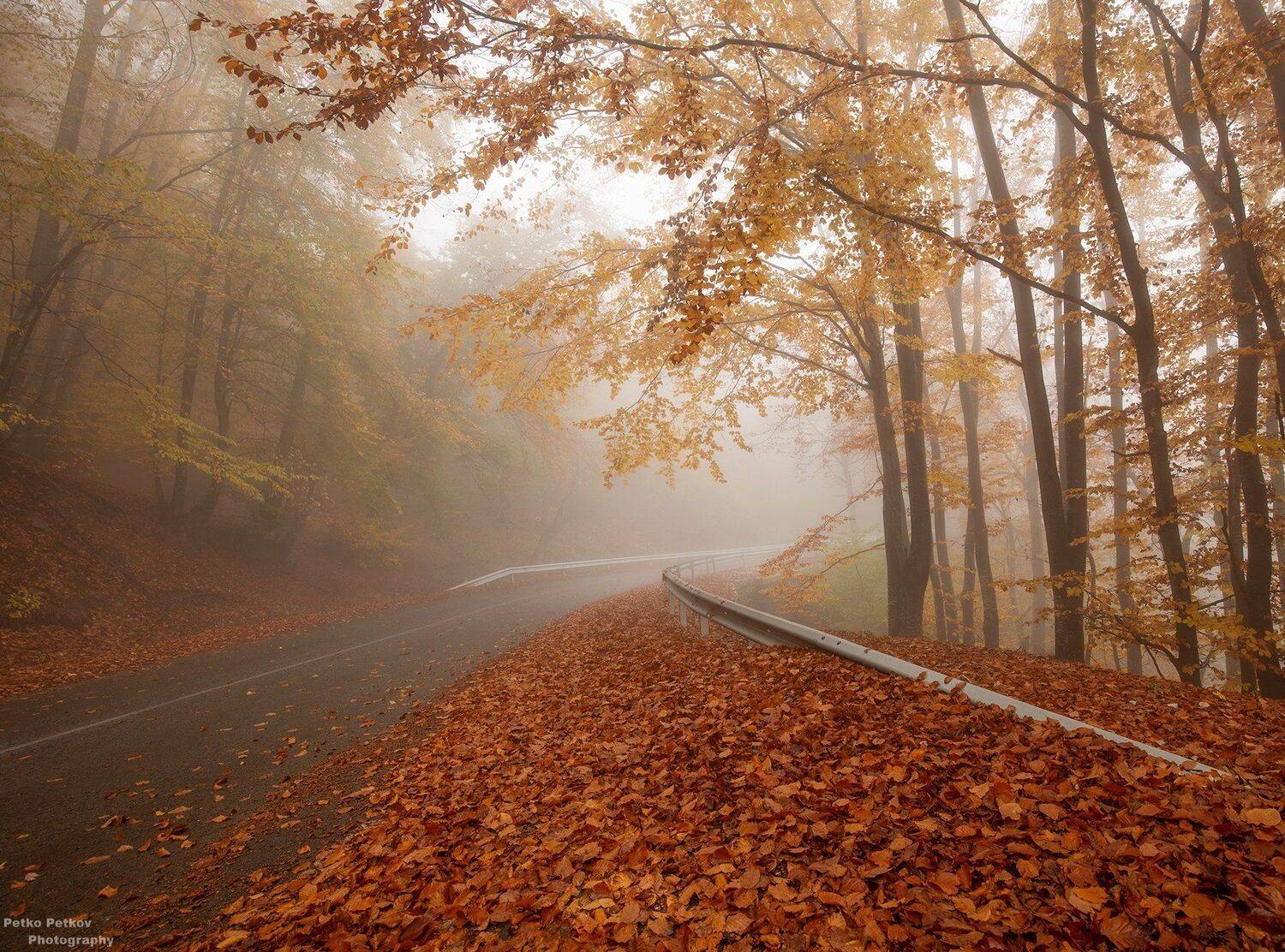 , Петко Петков