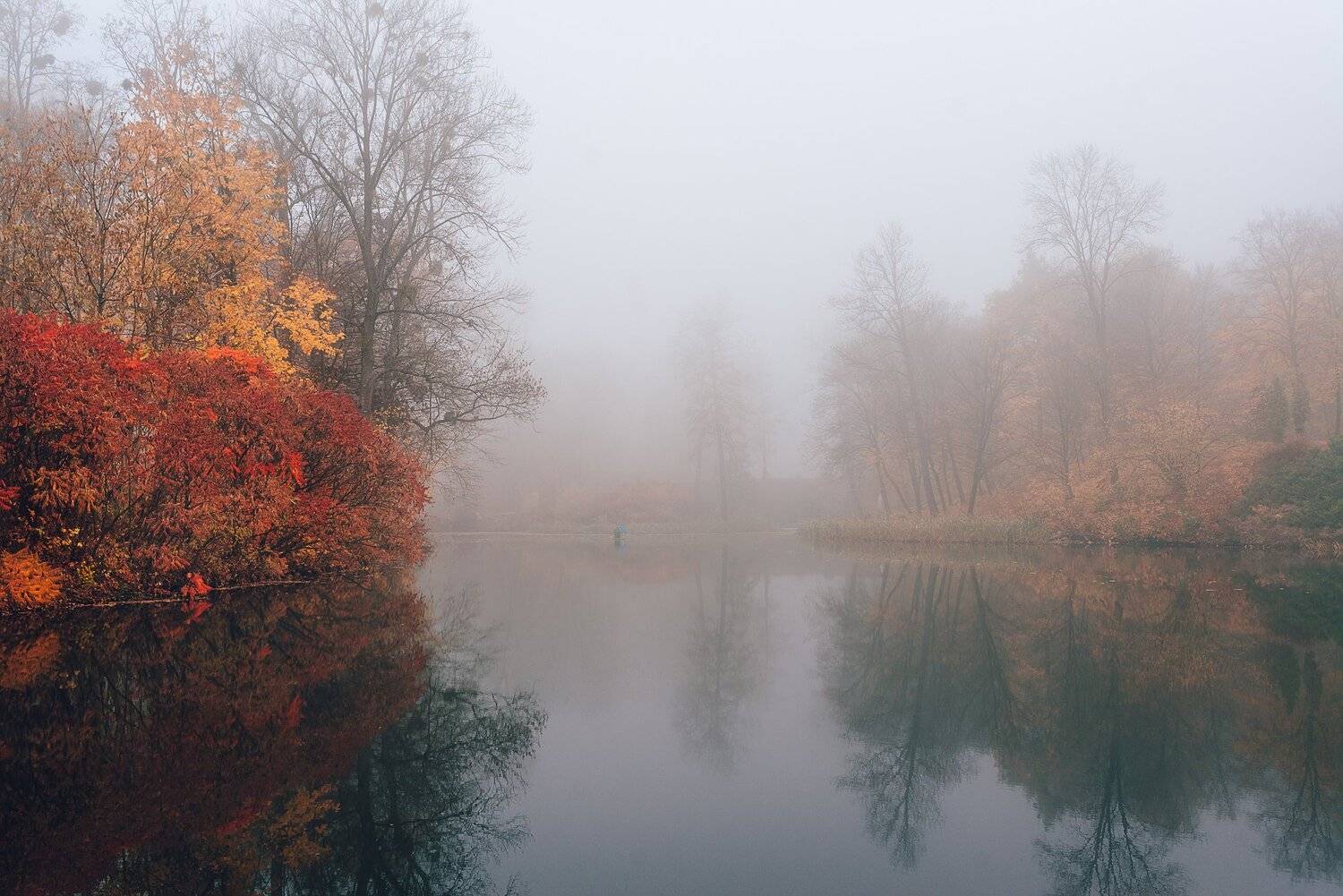 , Максим Зайцев