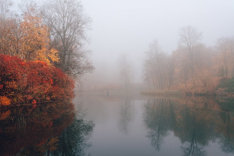 Туман фото превью
