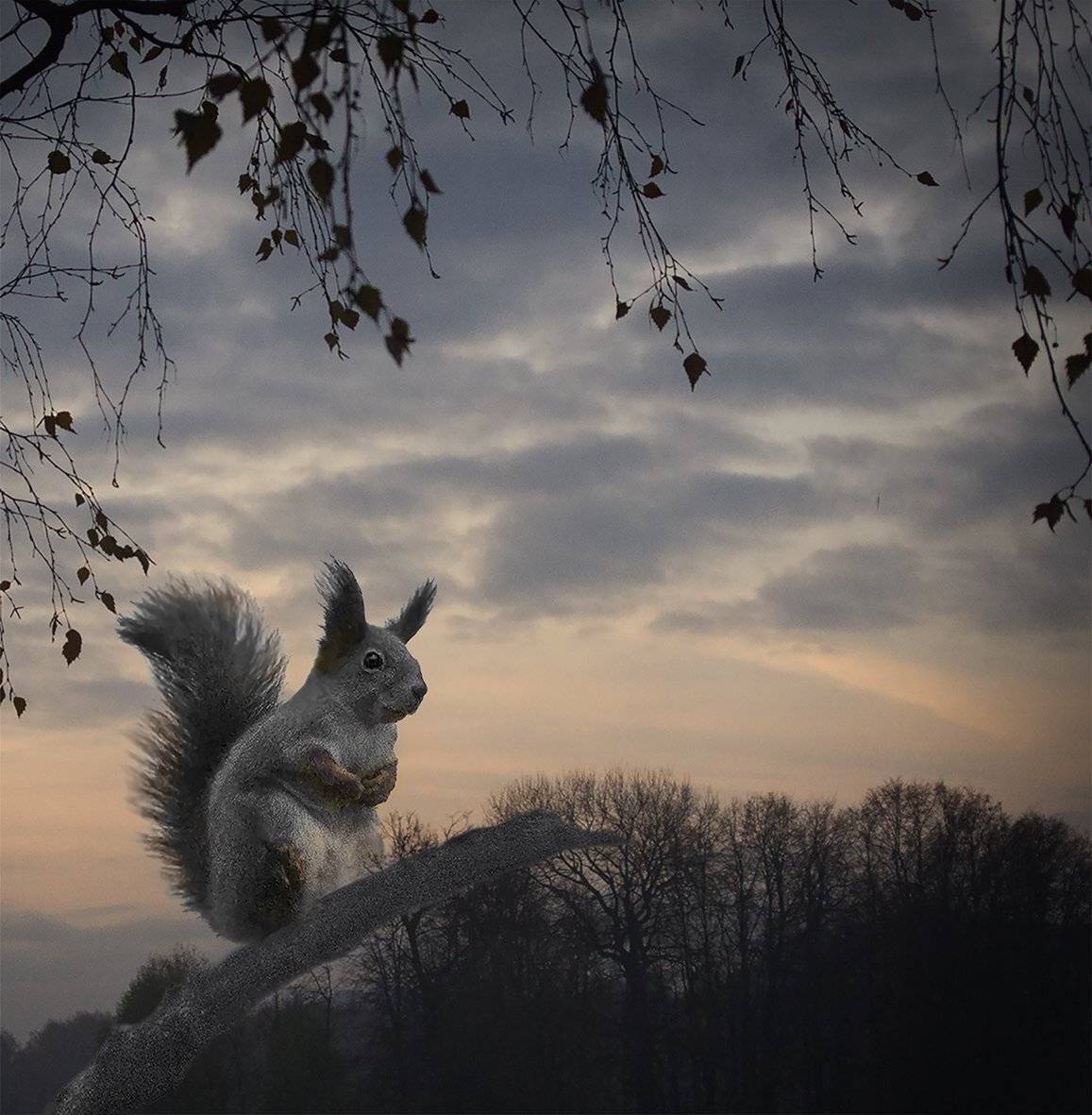 , T. Bondarenko