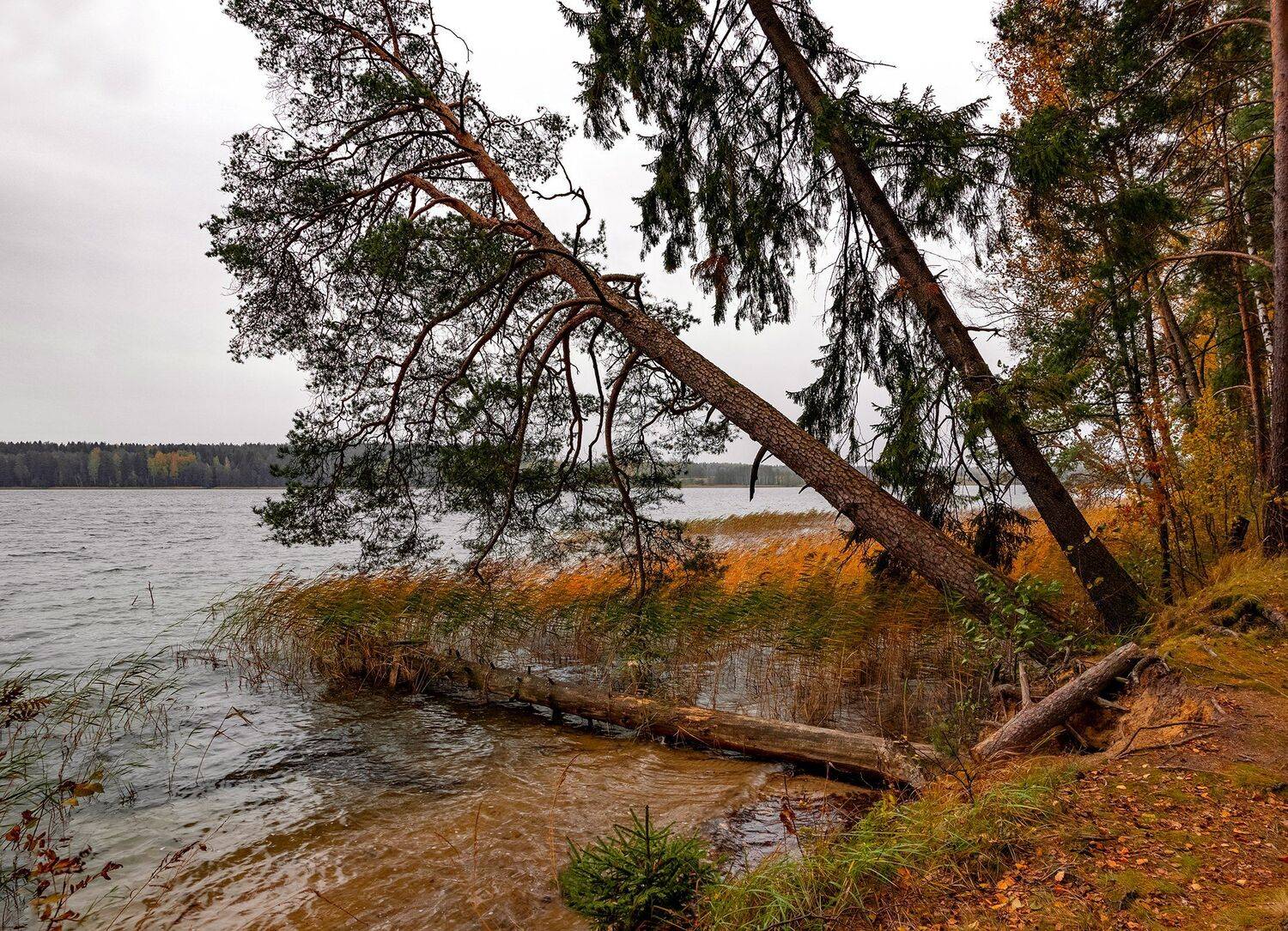 осень, пейзаж, Sixten ( Сергей )