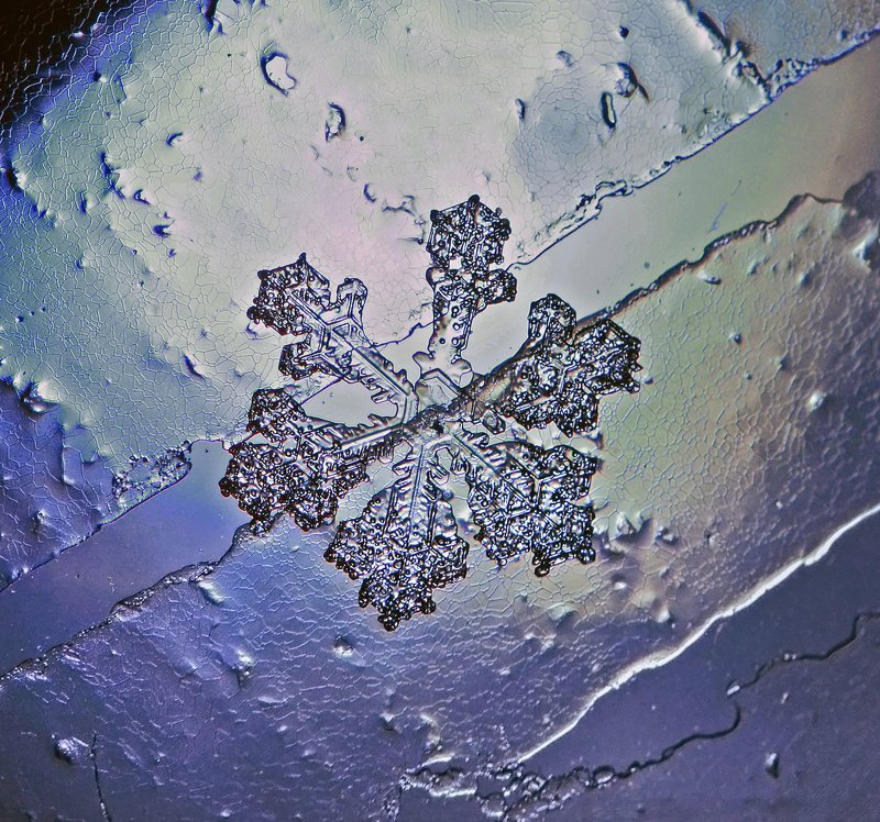 макро, снежинка, снег, макрофото, макрофотография, зима, волшебство, Радужный кристалл фото превью