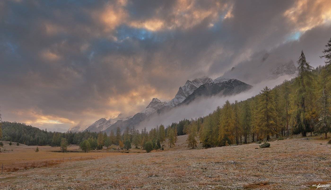 swiss, Матвеев Николай
