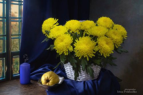Натюрморт с желтыми хризантемами