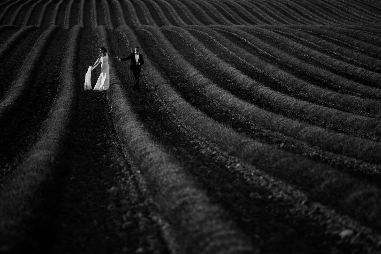 bw, wedding photography, свадьба, свадебная фотография, прованс, чб, Константин Корешков