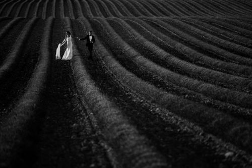 Wedding in Lavender fields, Provence, France