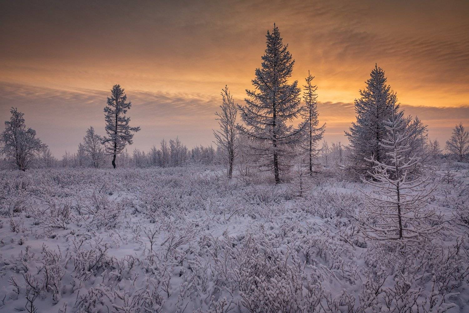 , Евгений Кужилев