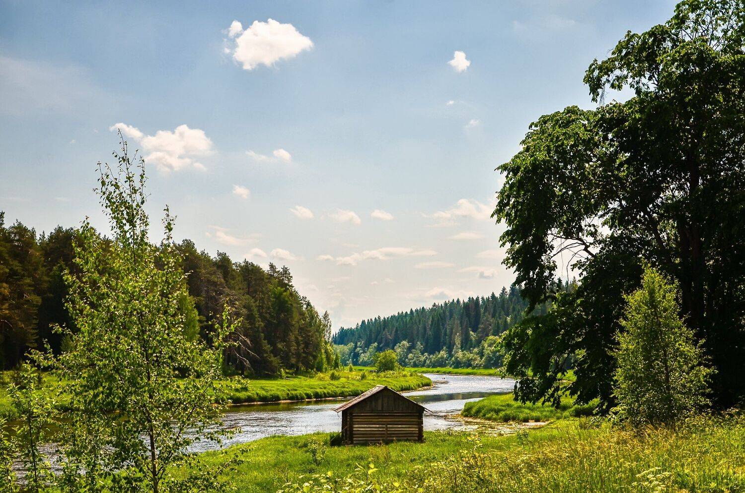 nevant60, пейзаж, красота, природа, селигер, река твеца, Александр Березуцкий