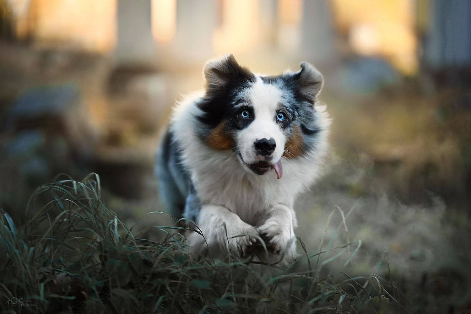 , Наталия Поникарова