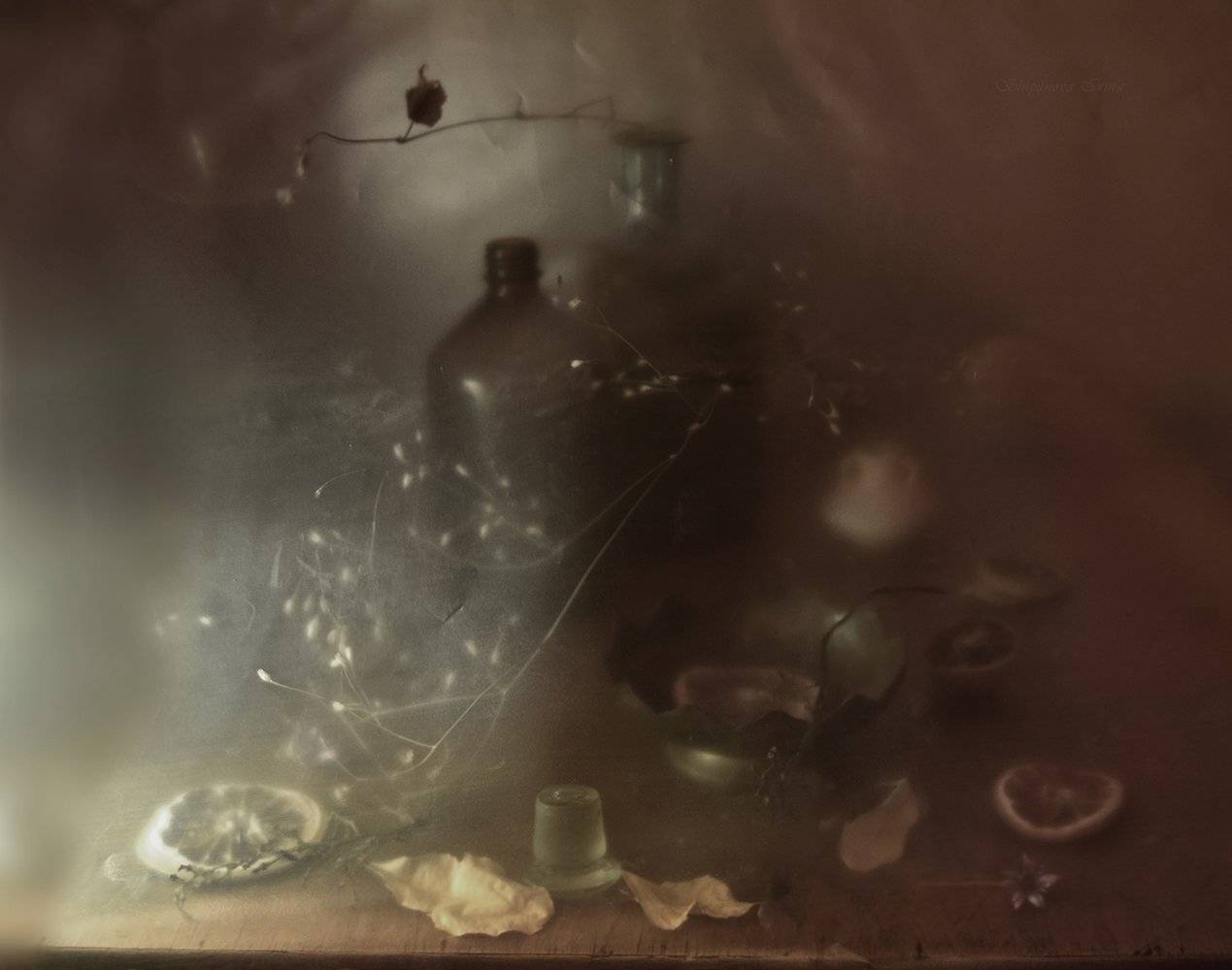 , Шипунова Ирина