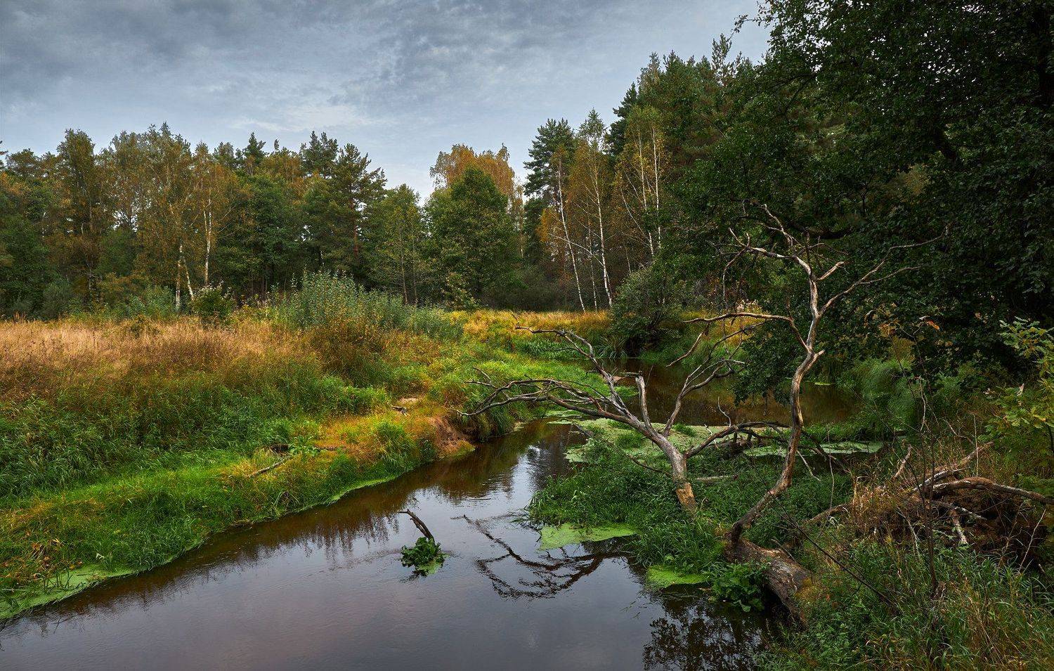 , Евгений Гаганов