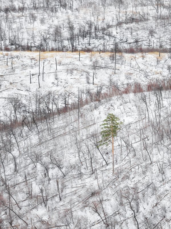 #winter #landscape #samara #самара #пейзаж #зима #зимасамара #самарскаялука #жигулевскиегоры First snow 2020 фото превью