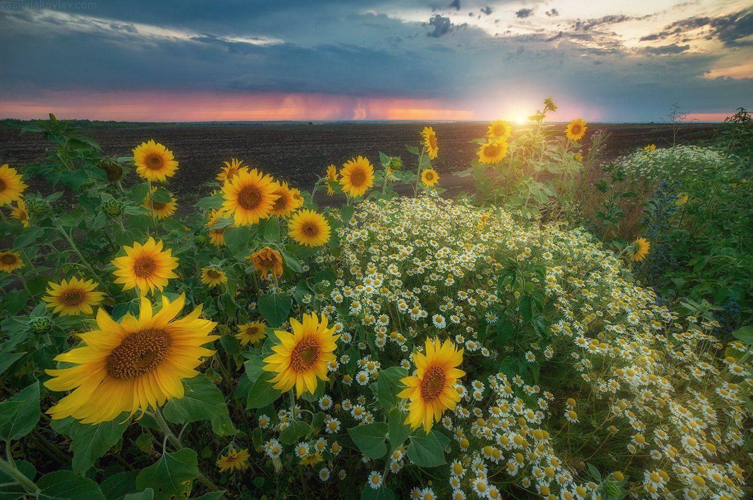 крым, фототур, яковлевфототур, василийяковлев, екатеринбург, Василий Яковлев