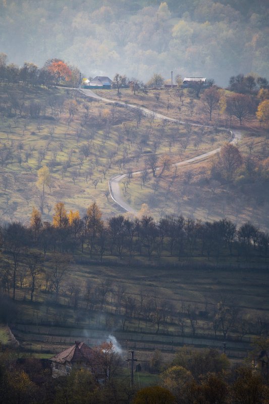 Tutesti фото превью