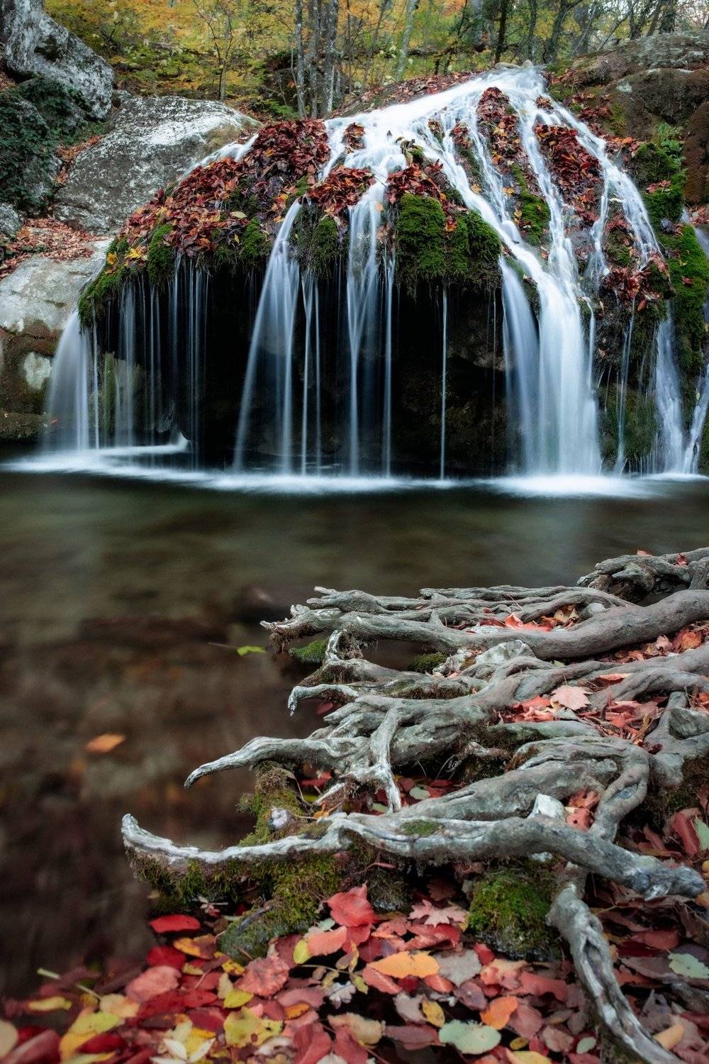 , Игорь Прошаков