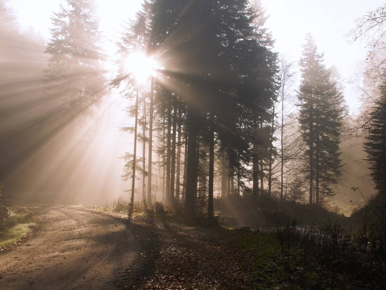 , Krzysztof Tomasiak