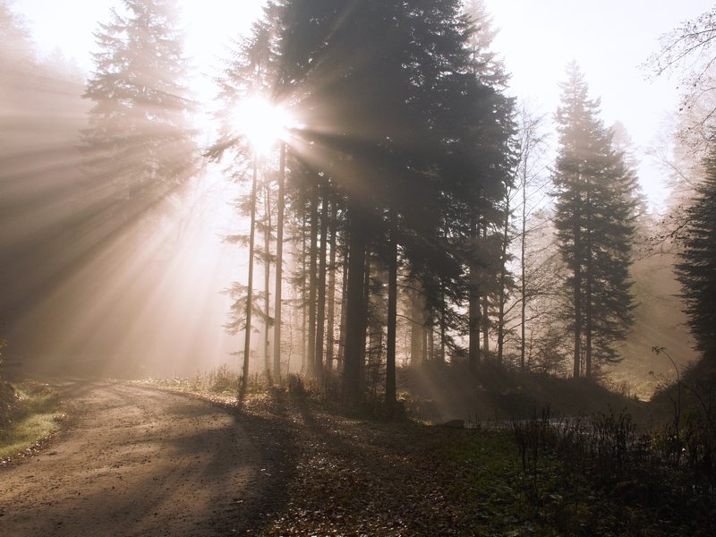 /// фото превью