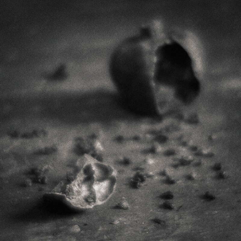 Растраченная жизнь фото превью