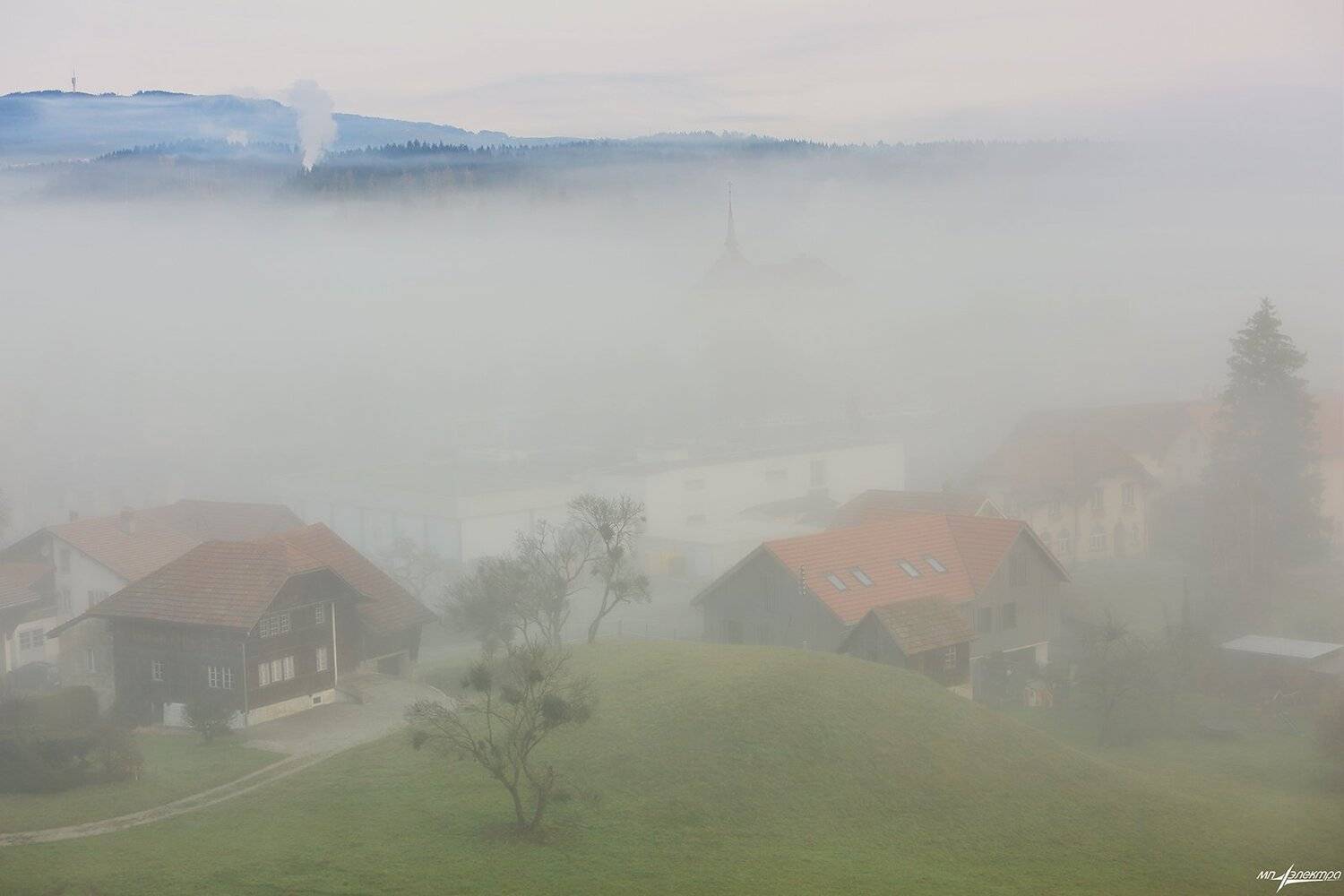 swiss, Матвеев Николай