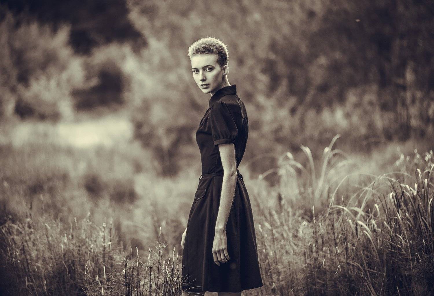 , Курта Аркадий