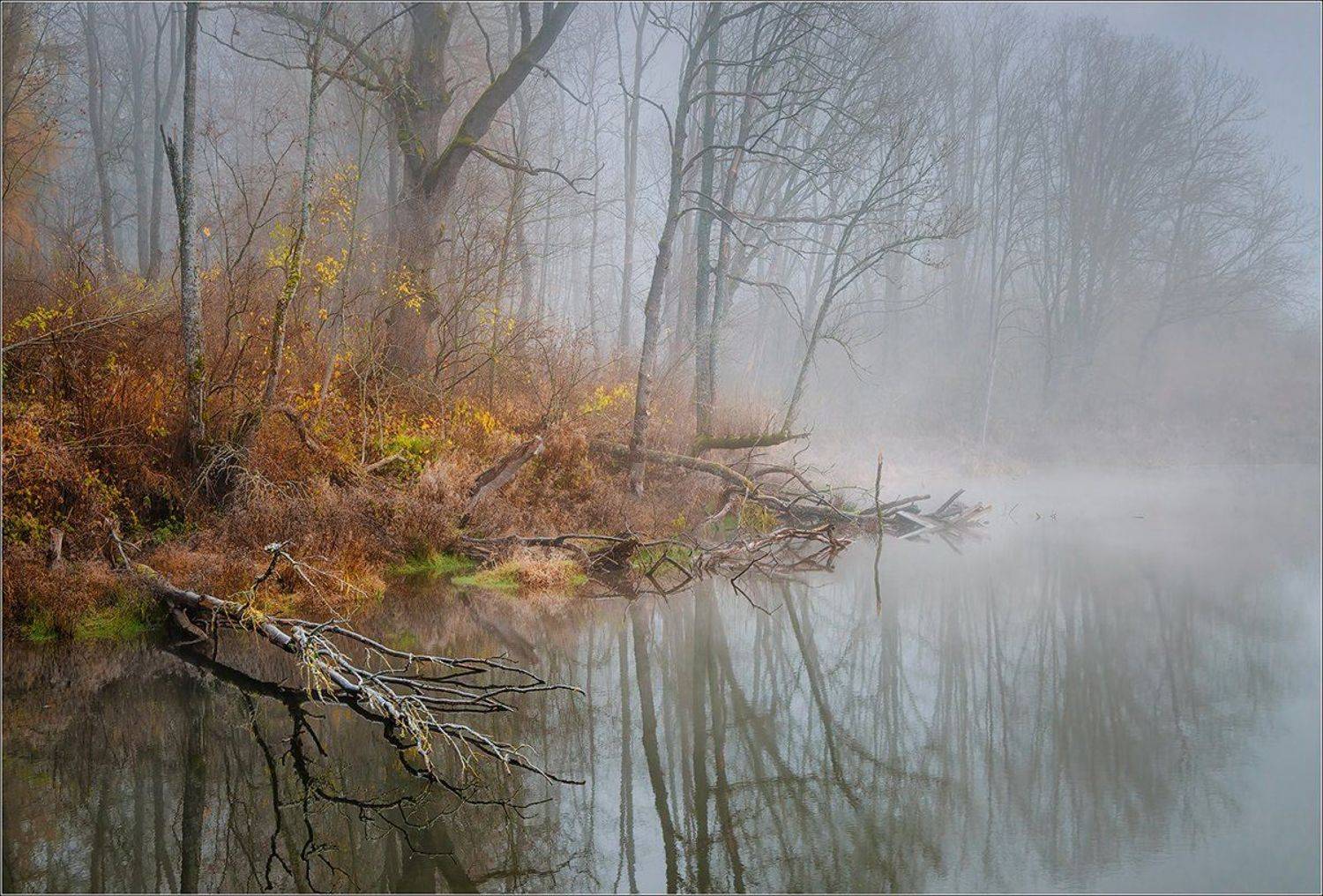 утро, туман, пруд, осень, беларусь, ноябрь, Andrew Kuzmin