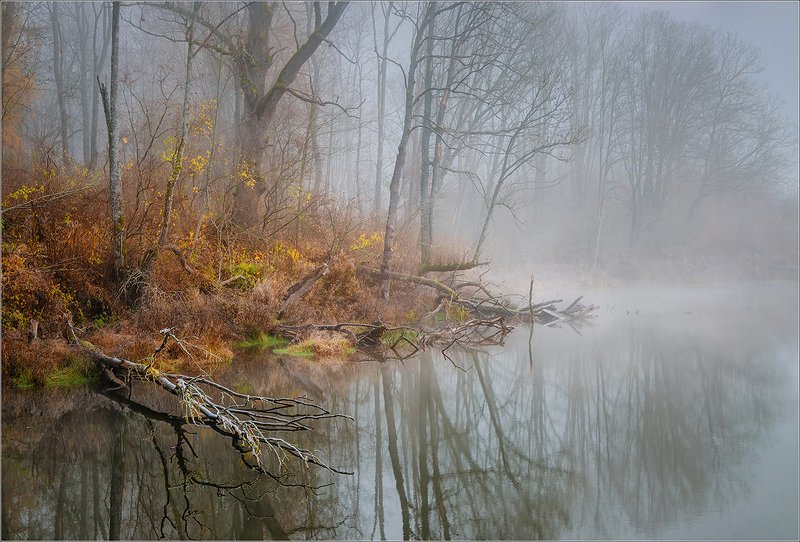 Осенний пруд... фото превью