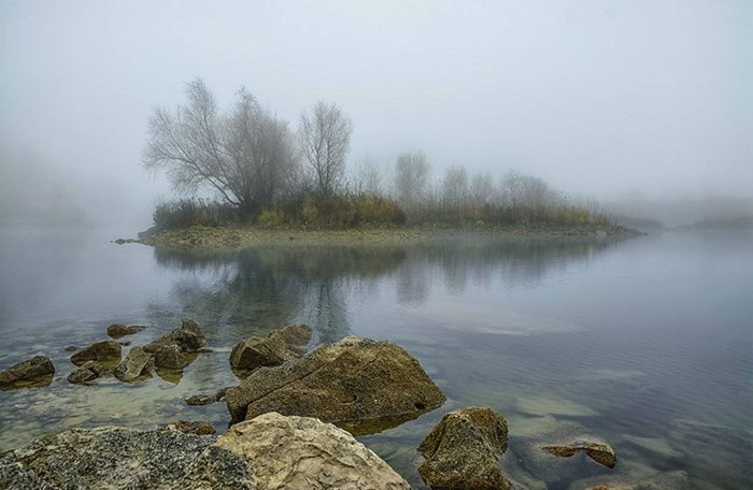 , Анатолий Зверев