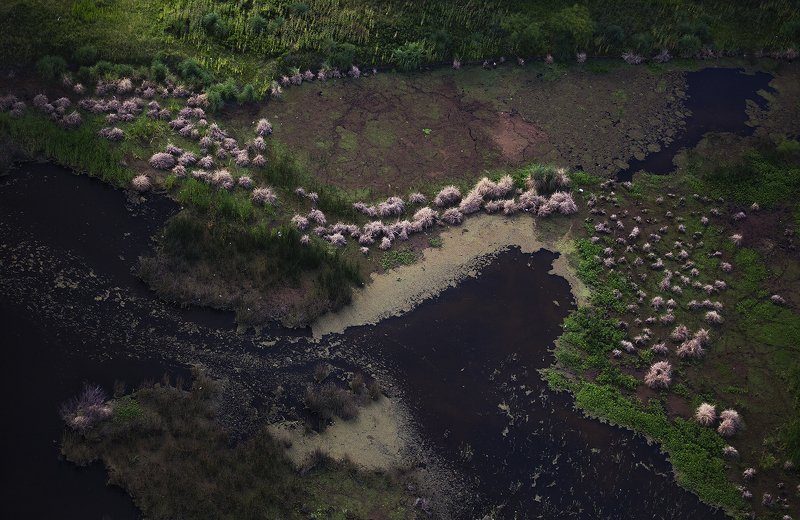 Фрагмент планеты фото превью