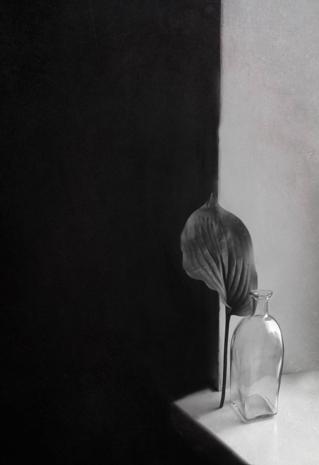 , Елена Лысенко