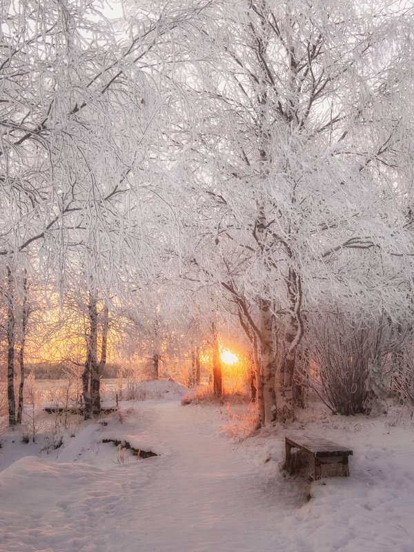 Закат северного ноября фото превью