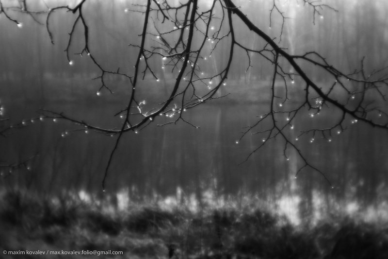 europe, kuzminki, moscou, moscow, russia, autumn, branch, drop, monocle, monolense, nature, park, photo, plant, pond, water, европа, кузьминки, москва, россия, ветка, вода, индустар 50-2, капля, монокль, объектив, осень, парк, природа, пруд, растение Драгоценная пора / Precious time фото превью