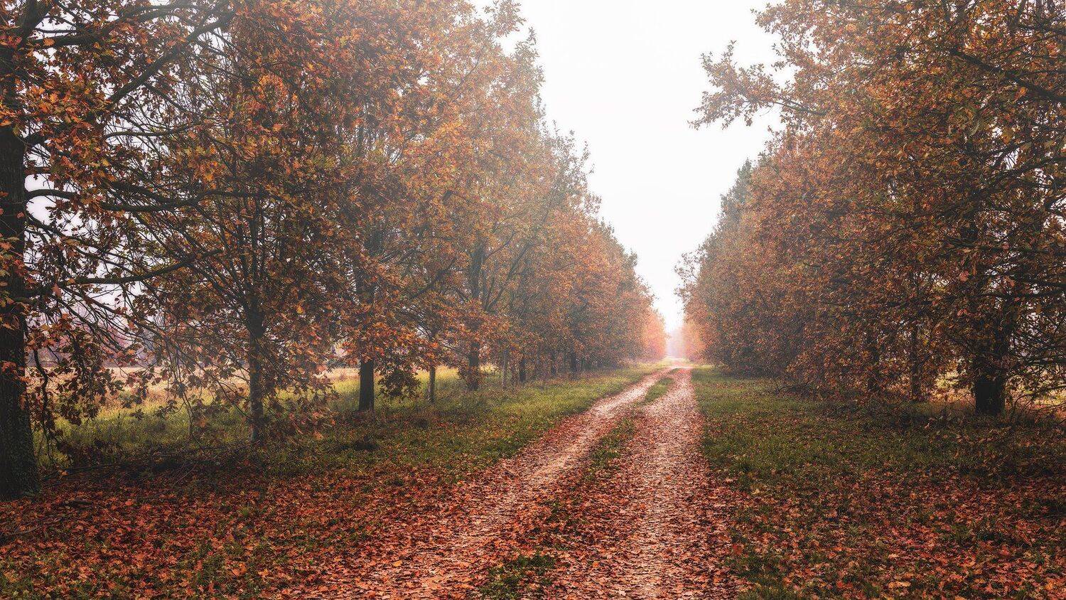 , Сергей Быков