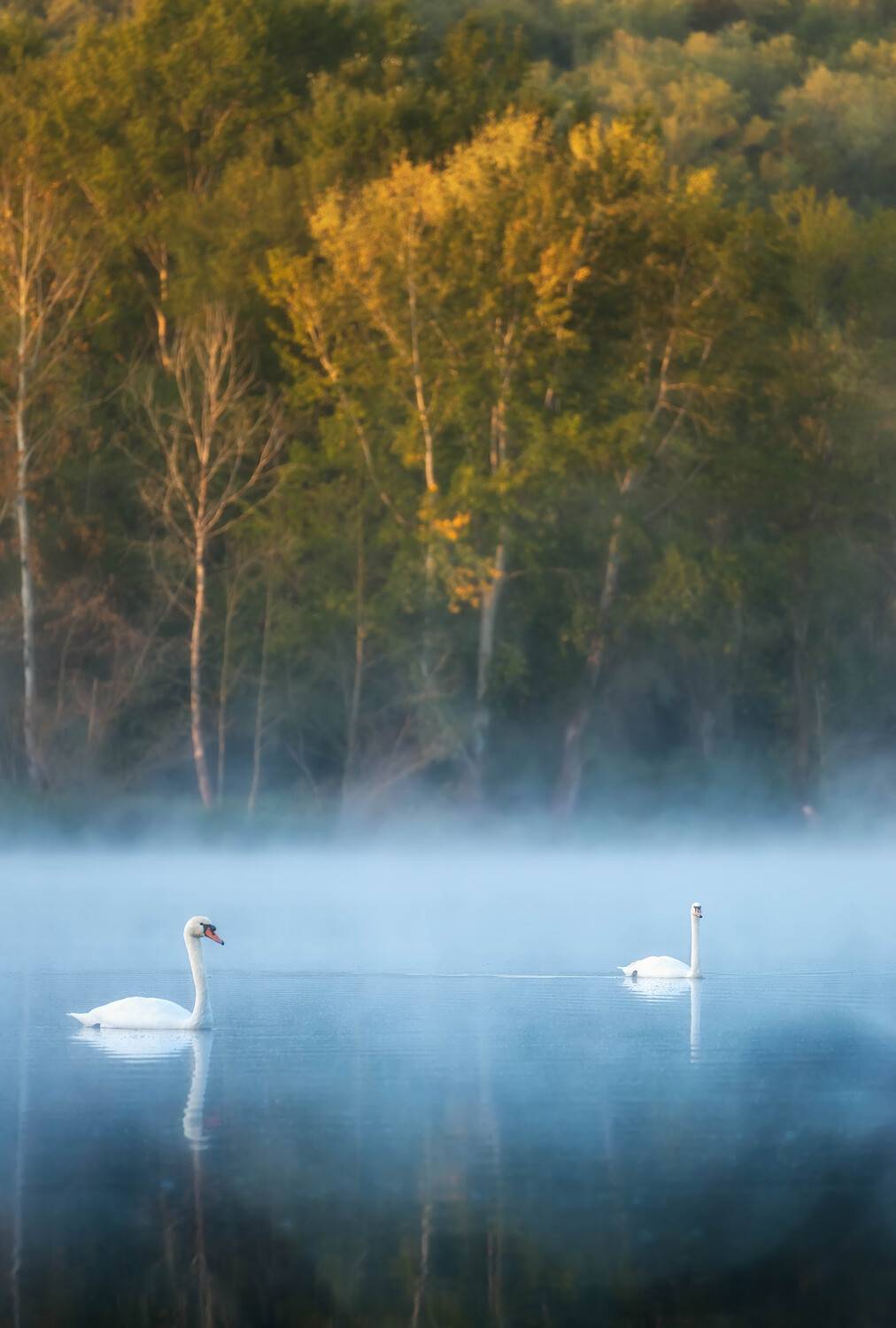 , Александр Орнатский