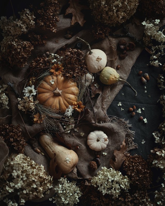 природа, осень, тыквы, листья, флетлей Осенние зарисовки фото превью