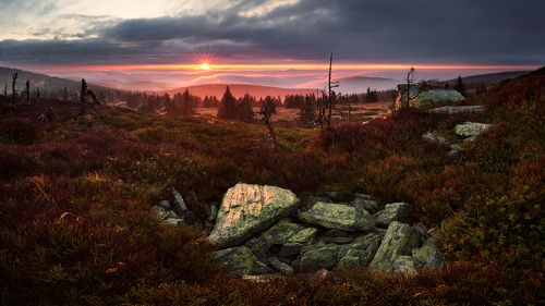 Autumn in Břidličná Mountain