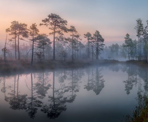 Осенние туманы на заре