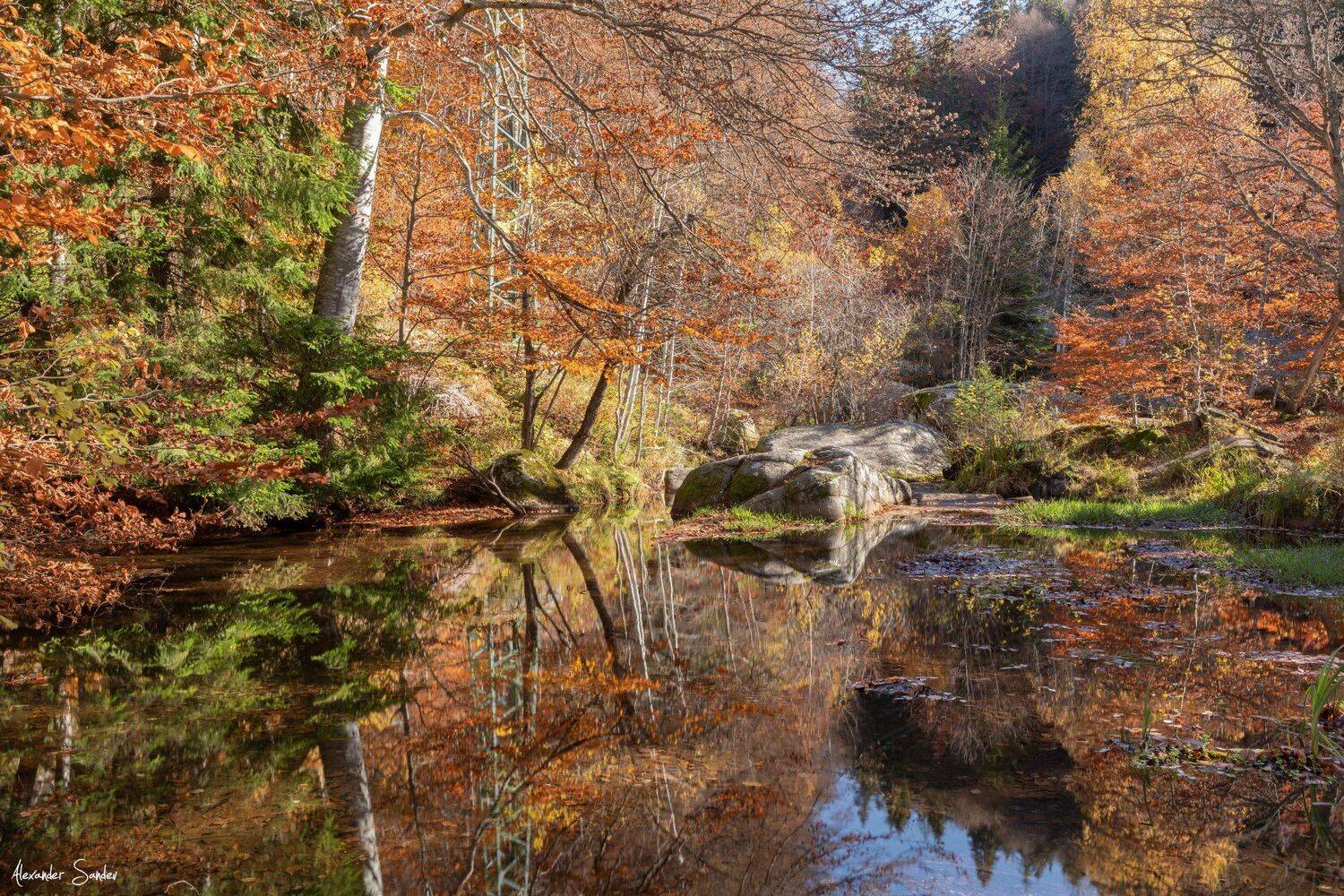 , Александър Сандев