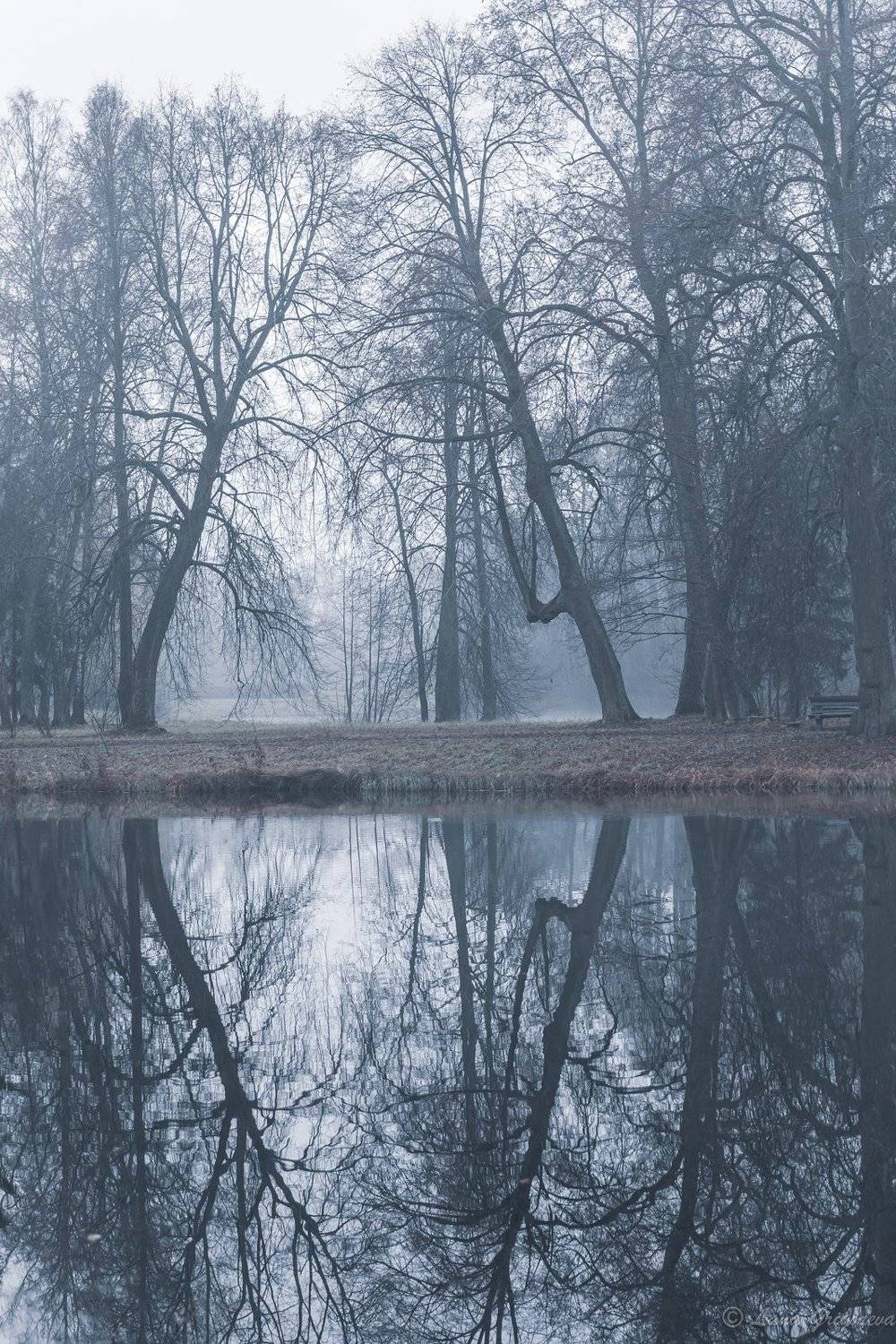 павловск, осень, парк, отражения, туман, Лана Григорьева