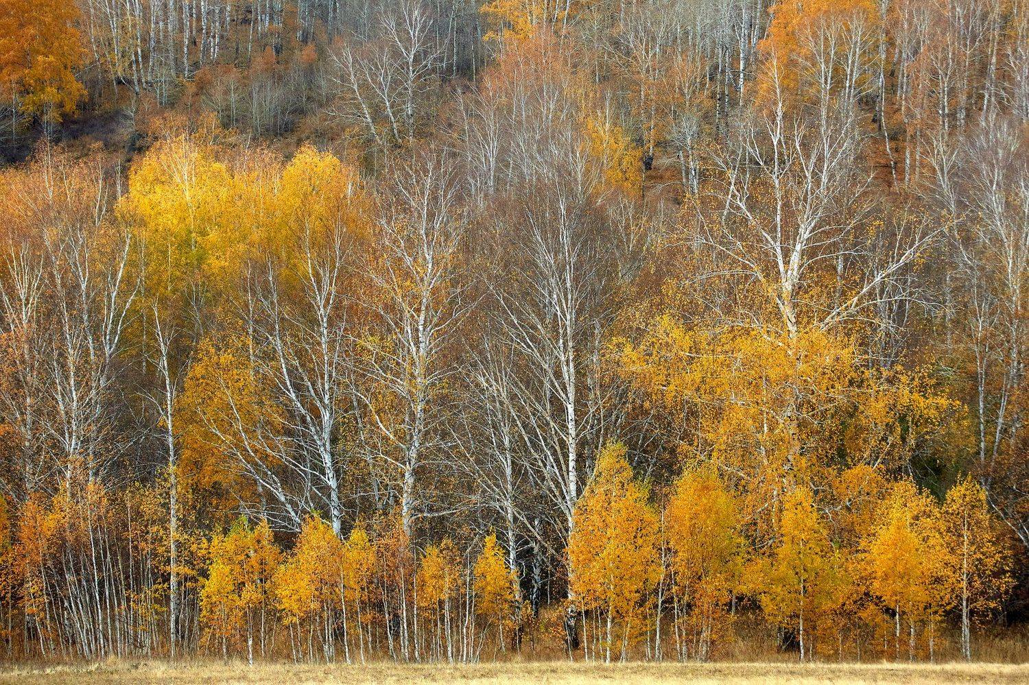 башкирия, южный урал орск новотроицк, Качурин Алексей