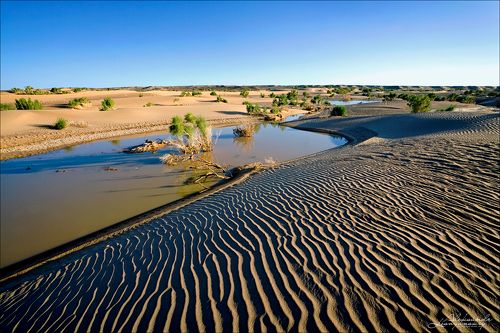 Пустыня Гоби, оазис Зулганай -2