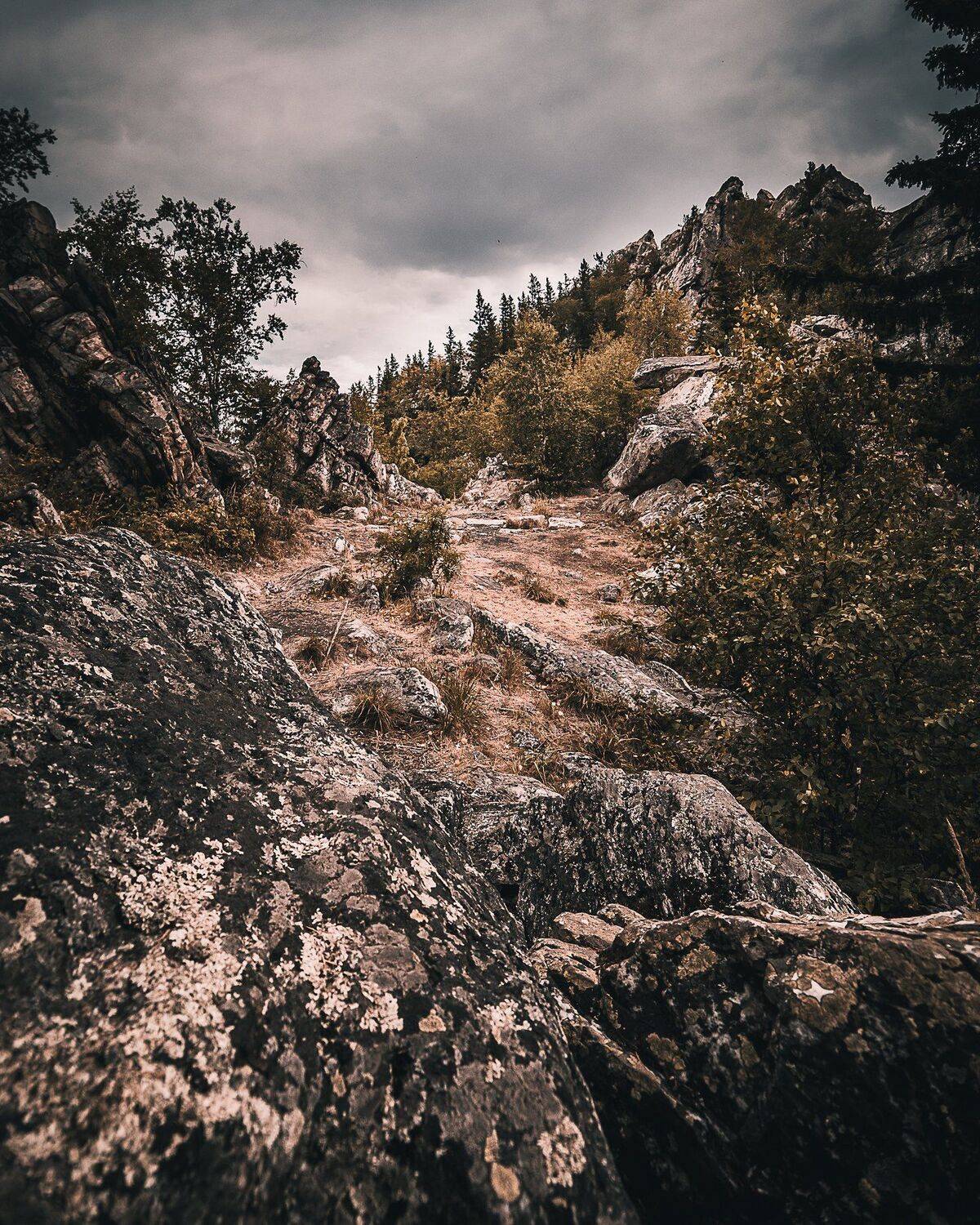 , Денис Храмеев