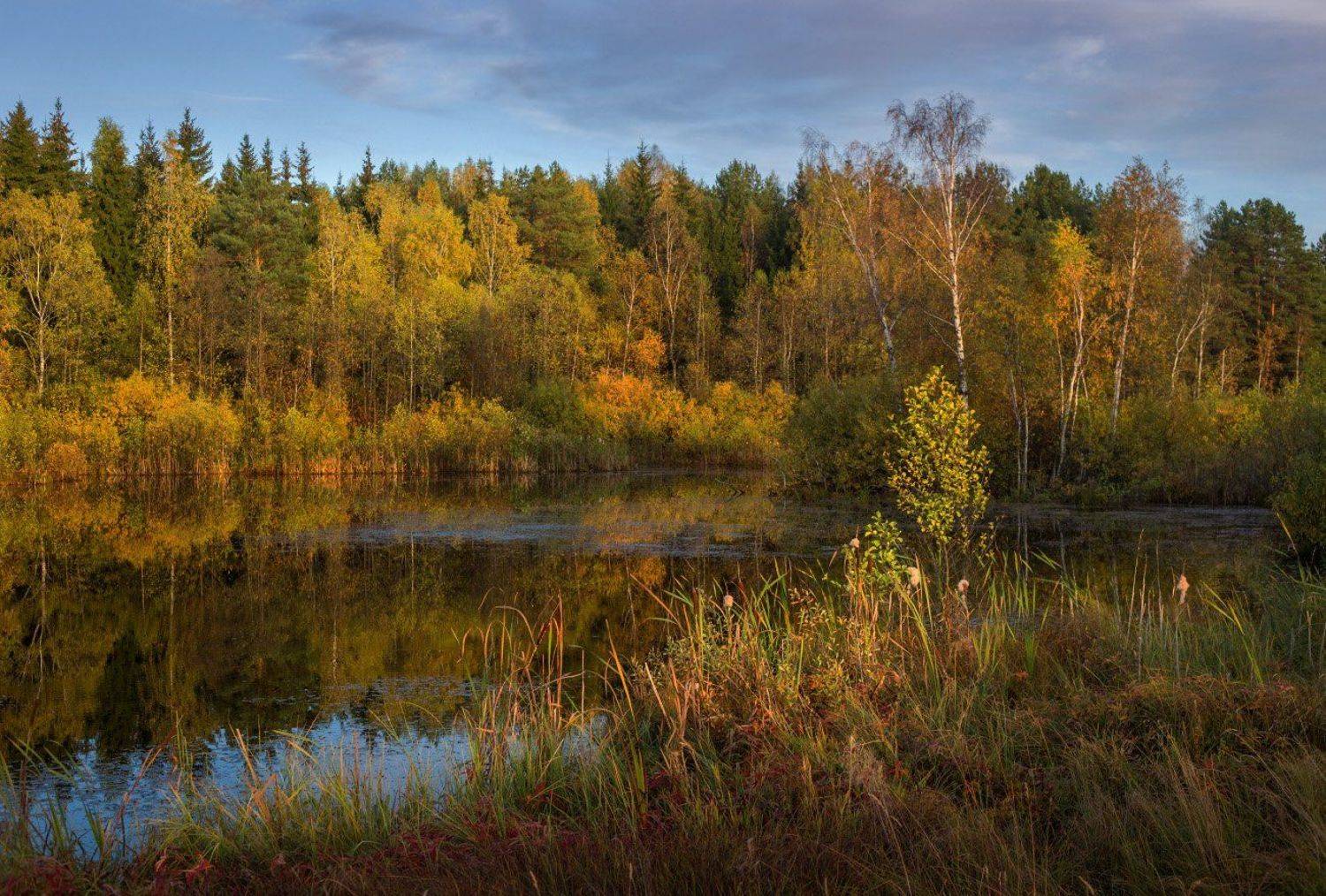 осень октябрь вечер вода отражение, Дмитрий Алексеев