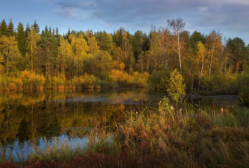 В закатных лучах