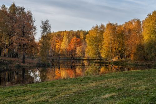 Золотая осень в подмосковье