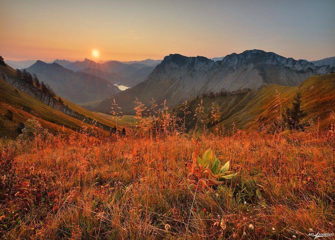 swiss, Матвеев Николай