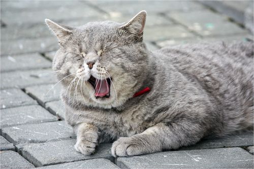 А теперь пора спать.