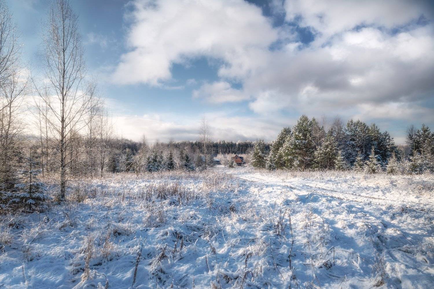 утро,снег,лес,деревня, Виталий Полуэктов