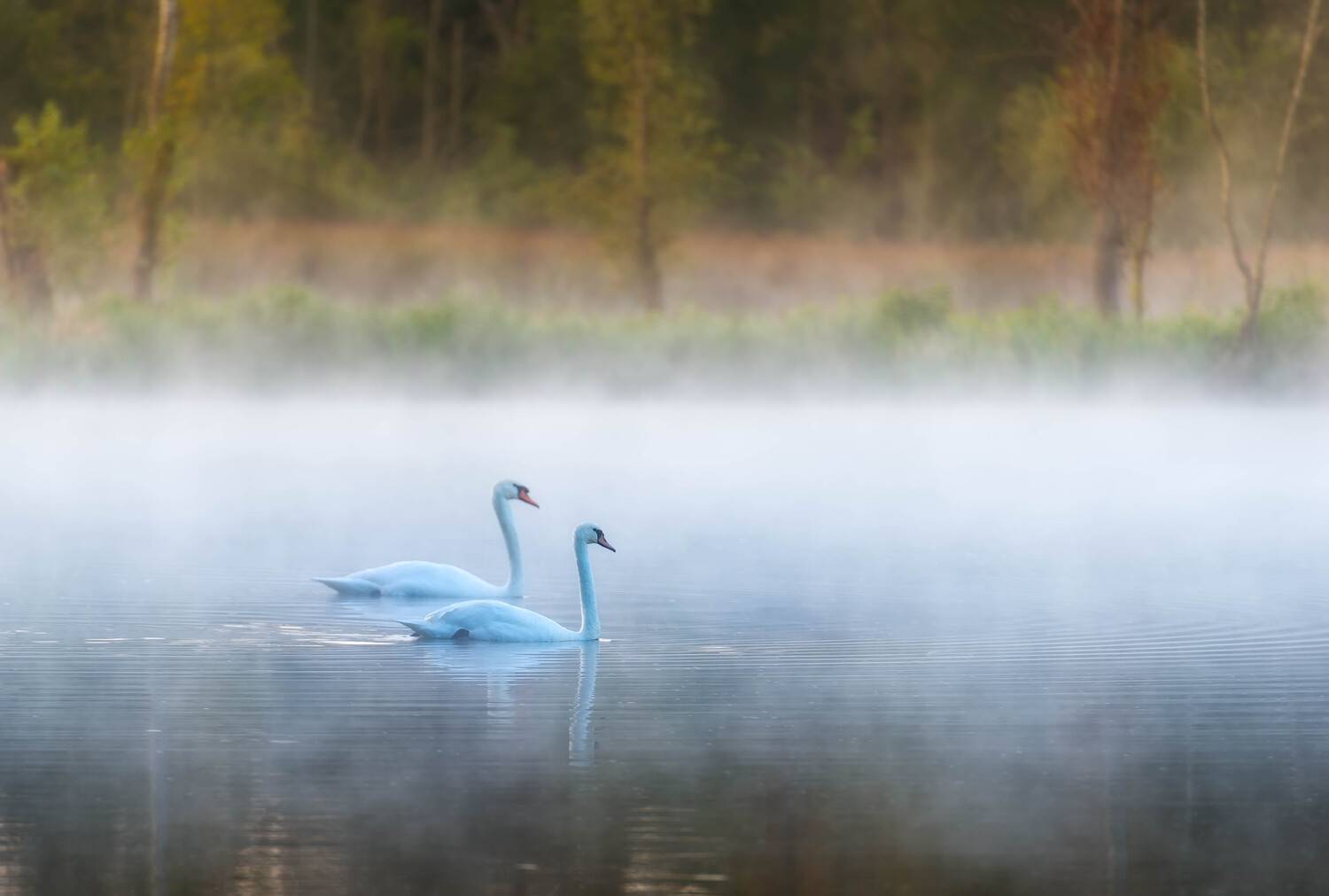 , Александр Орнатский