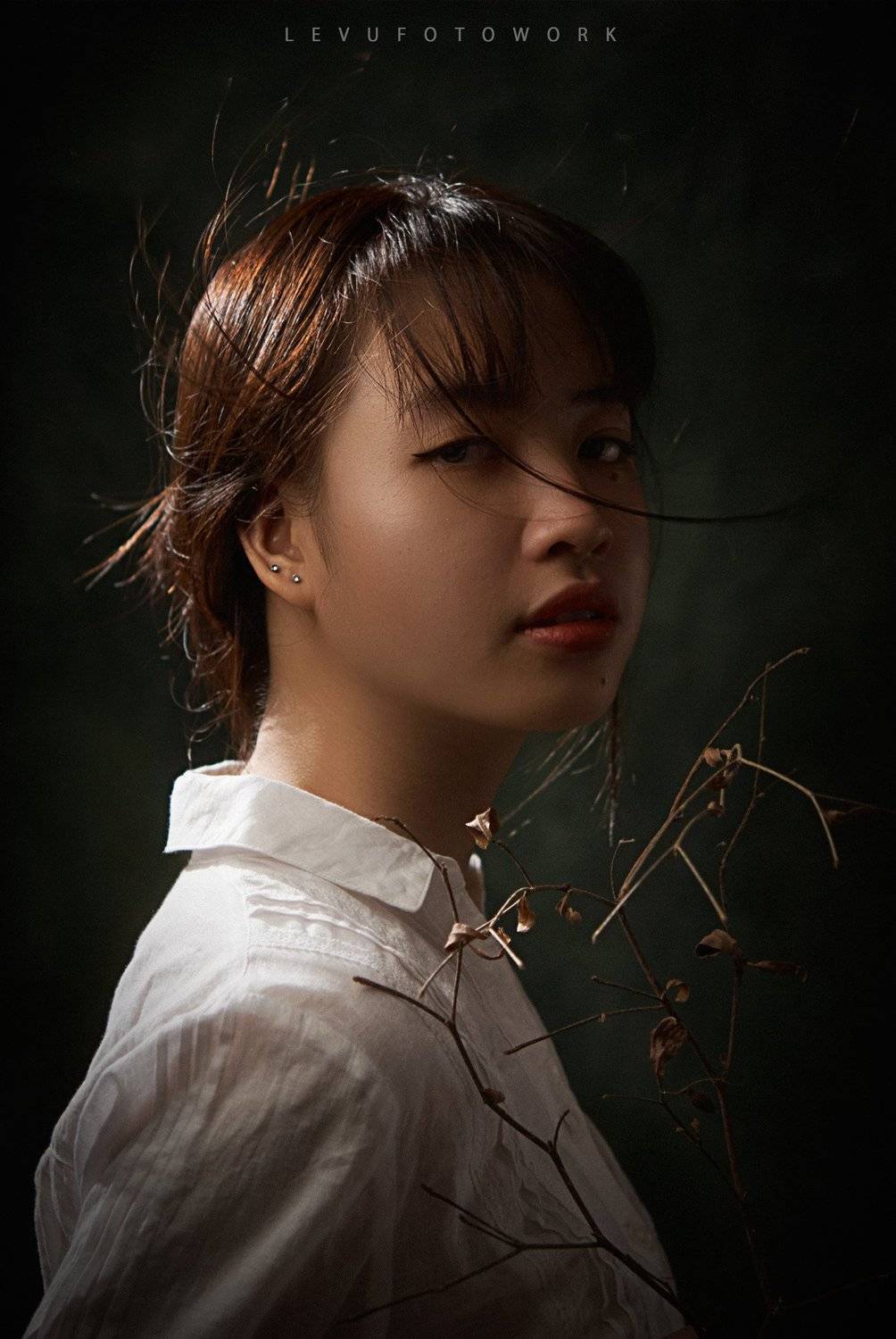 , L&ecirc; Nguyễn Vũ