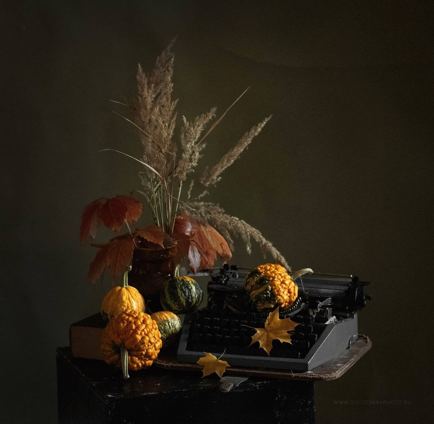 тыквы печатная машинка, Svetlana Golicyna